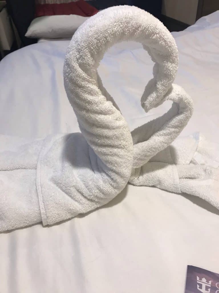 Towel Animals