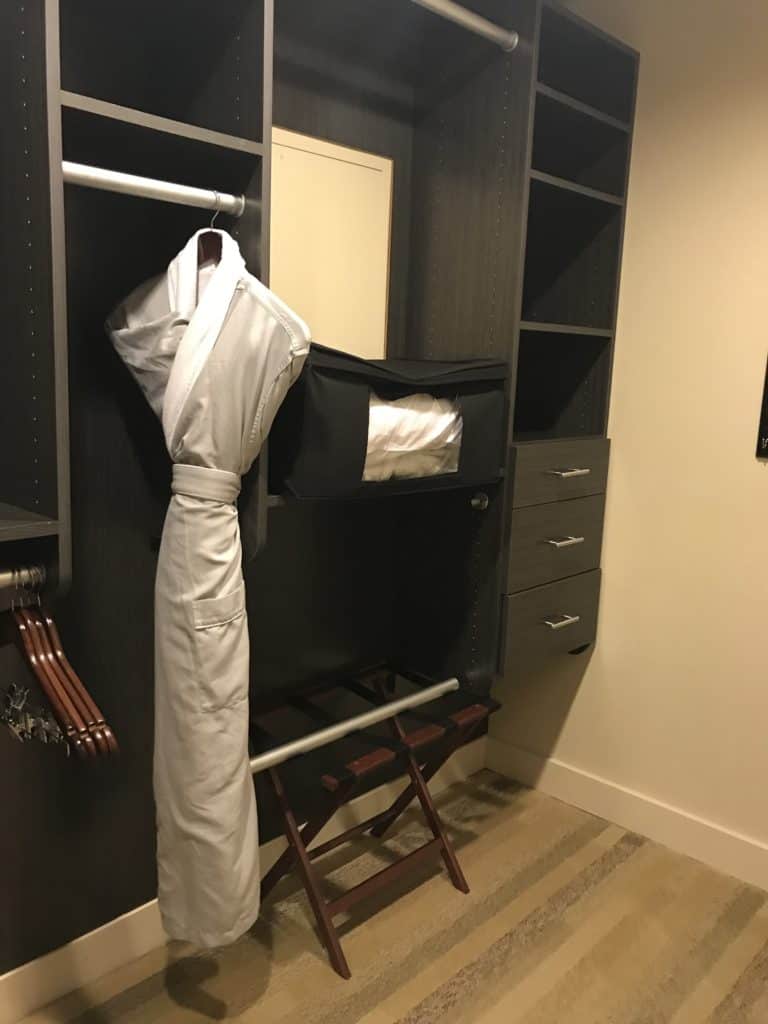 Wardrobe Closet