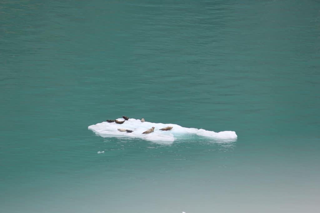 Seals