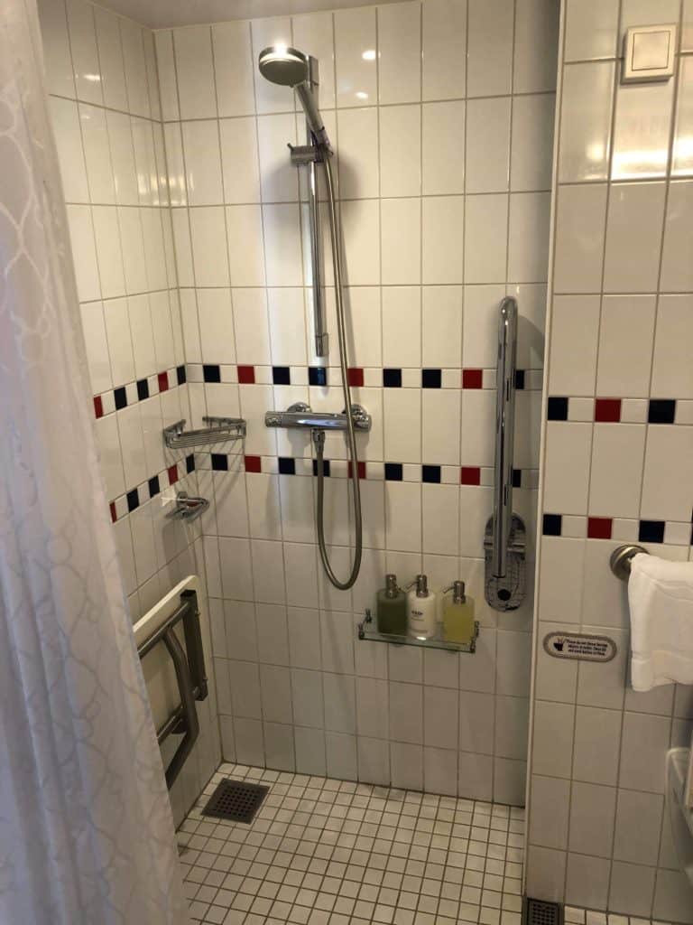 Handicap Accessible Shower