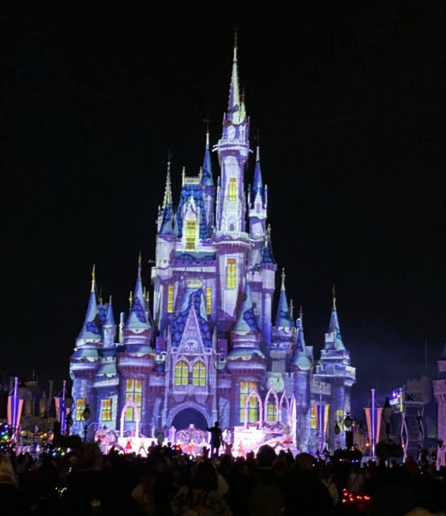 Castle Projections