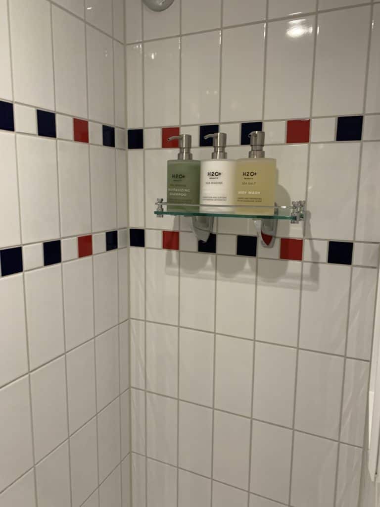 Shower Area with Bath Products