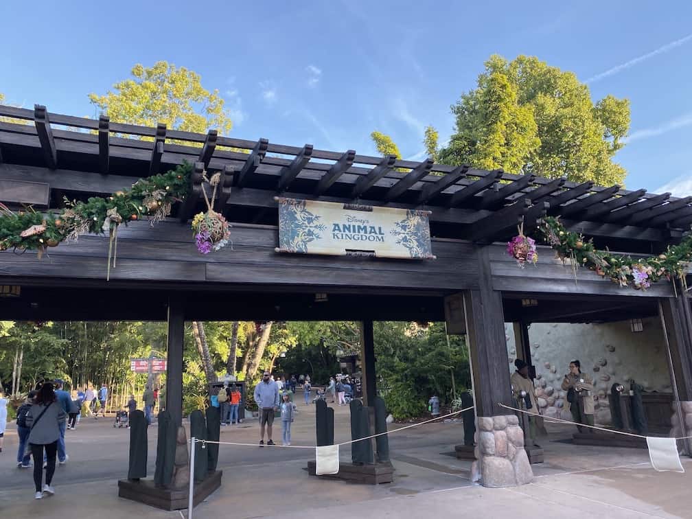 Animal Kingdom