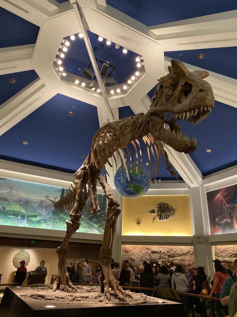 Dinosaur