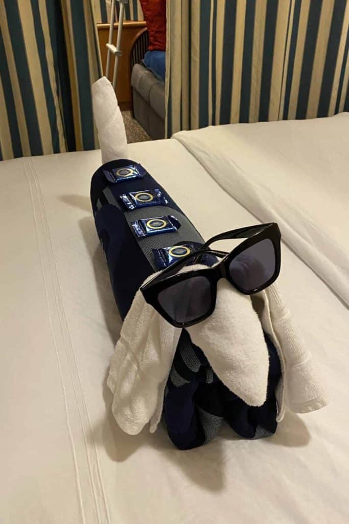 Towel Animal