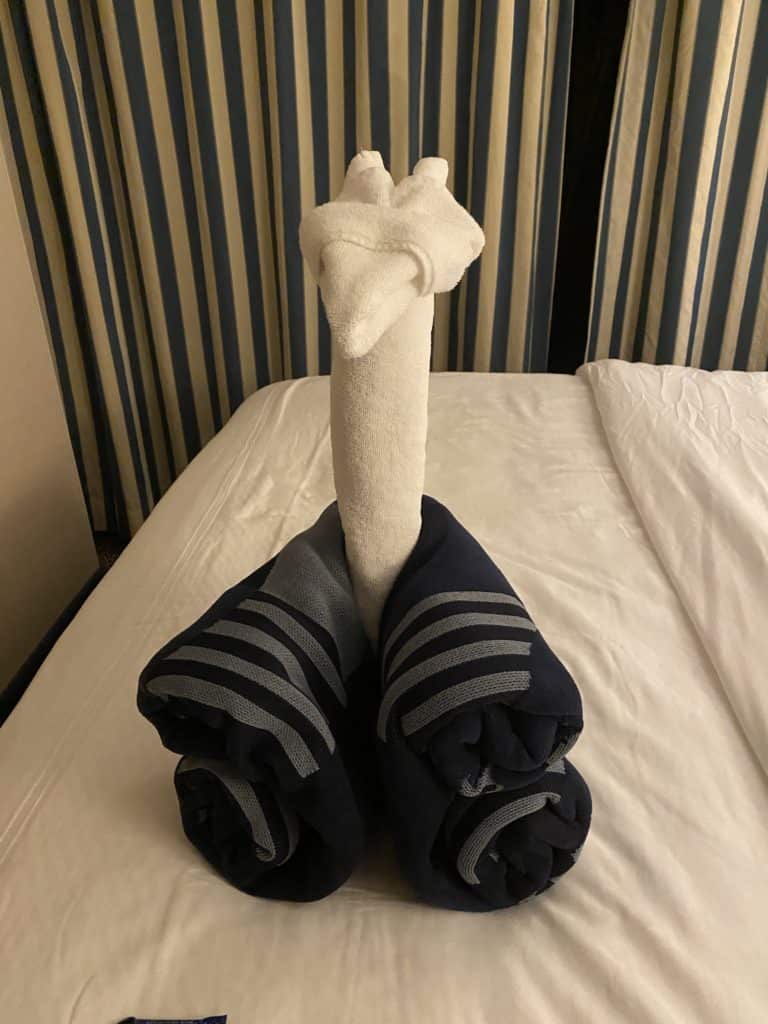 Towel Animal