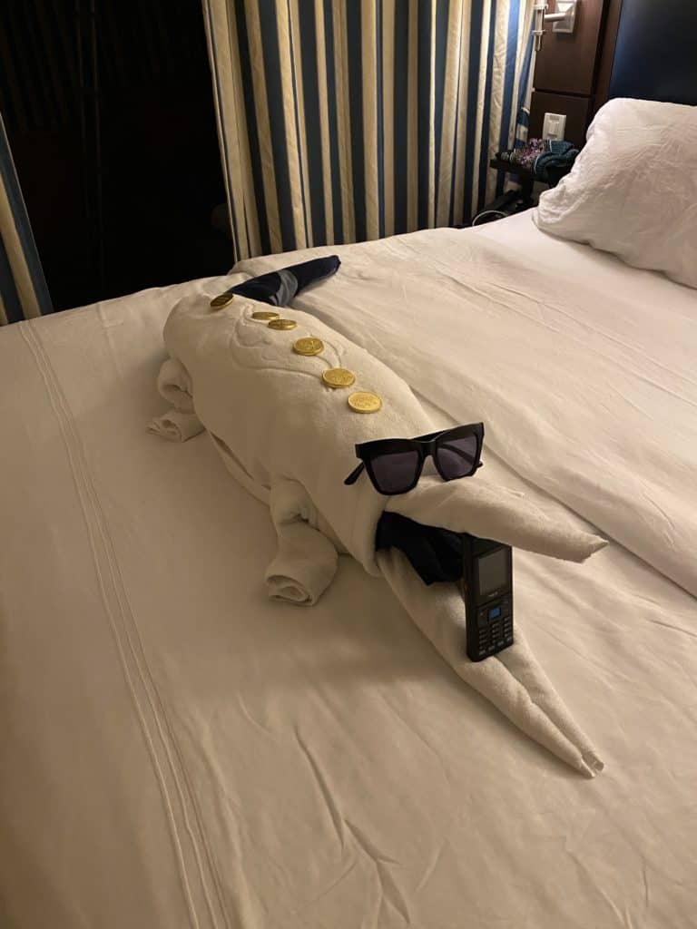 Towel Animal