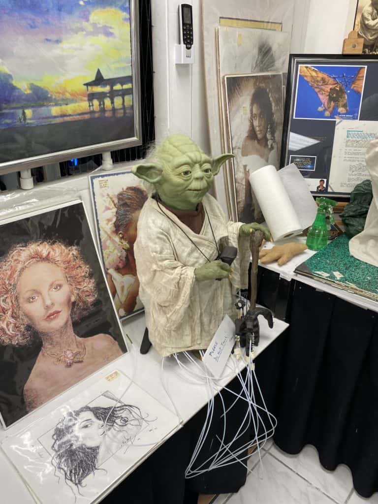 Yoda Guy Shop and Museum
