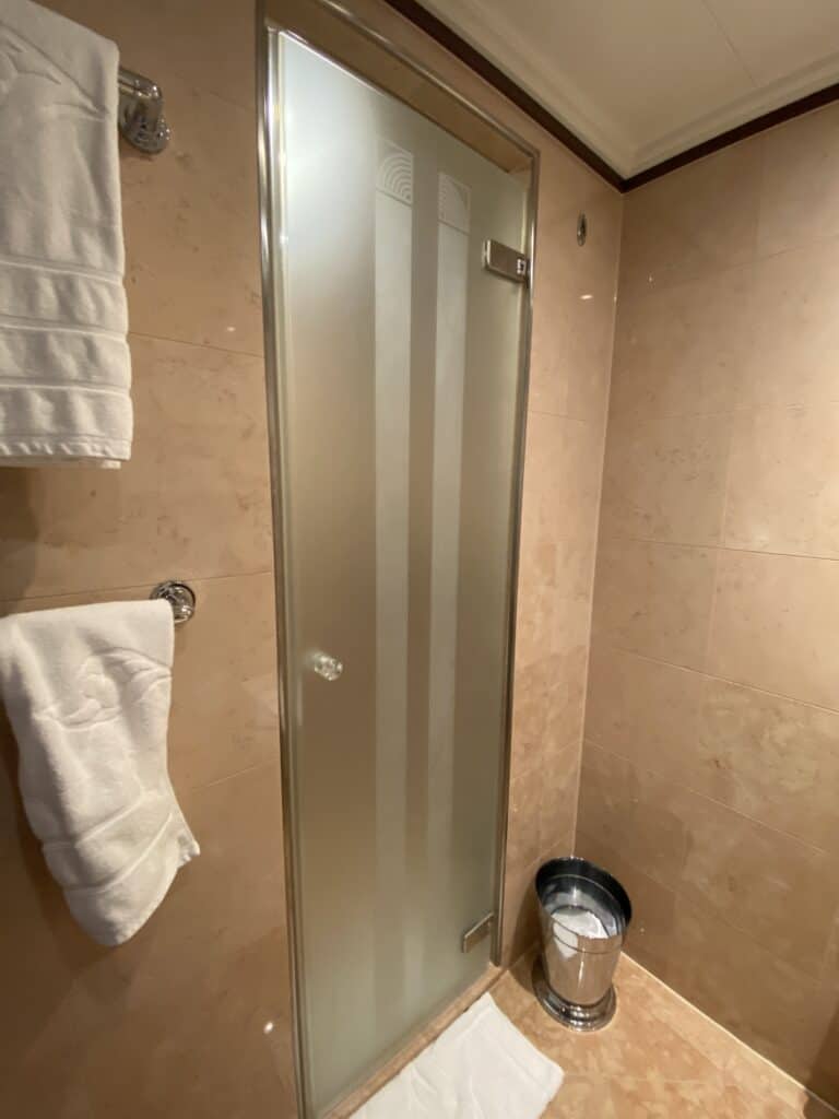 Shower Door in Bathroom 1