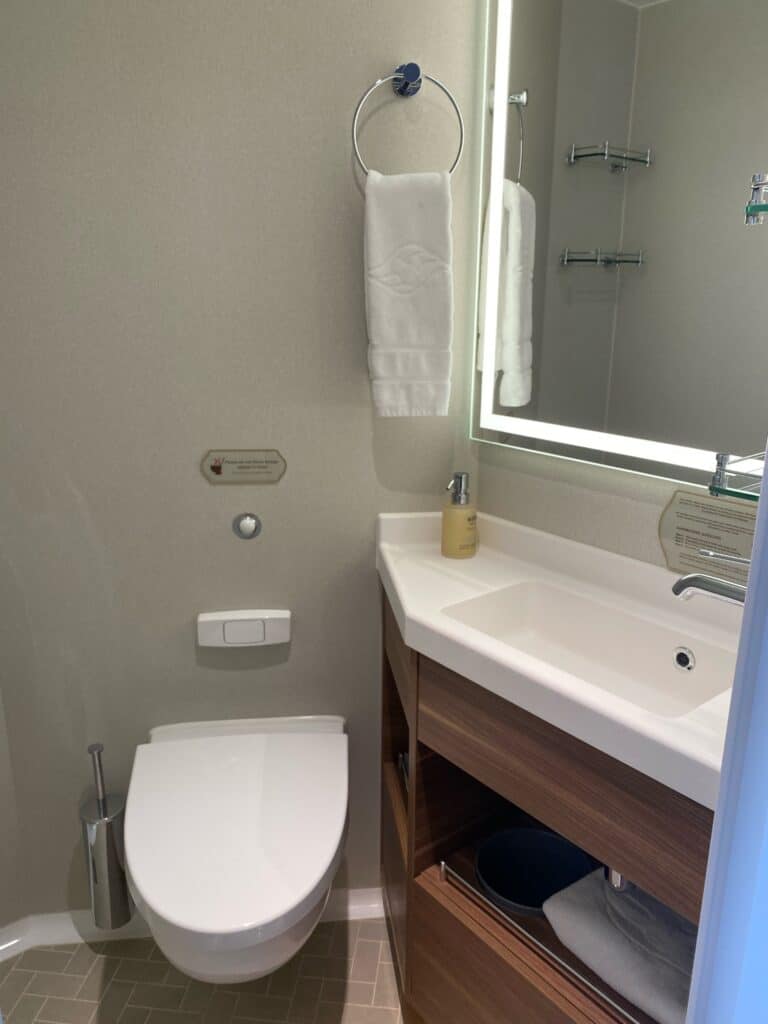Split Bathroom With Toilet