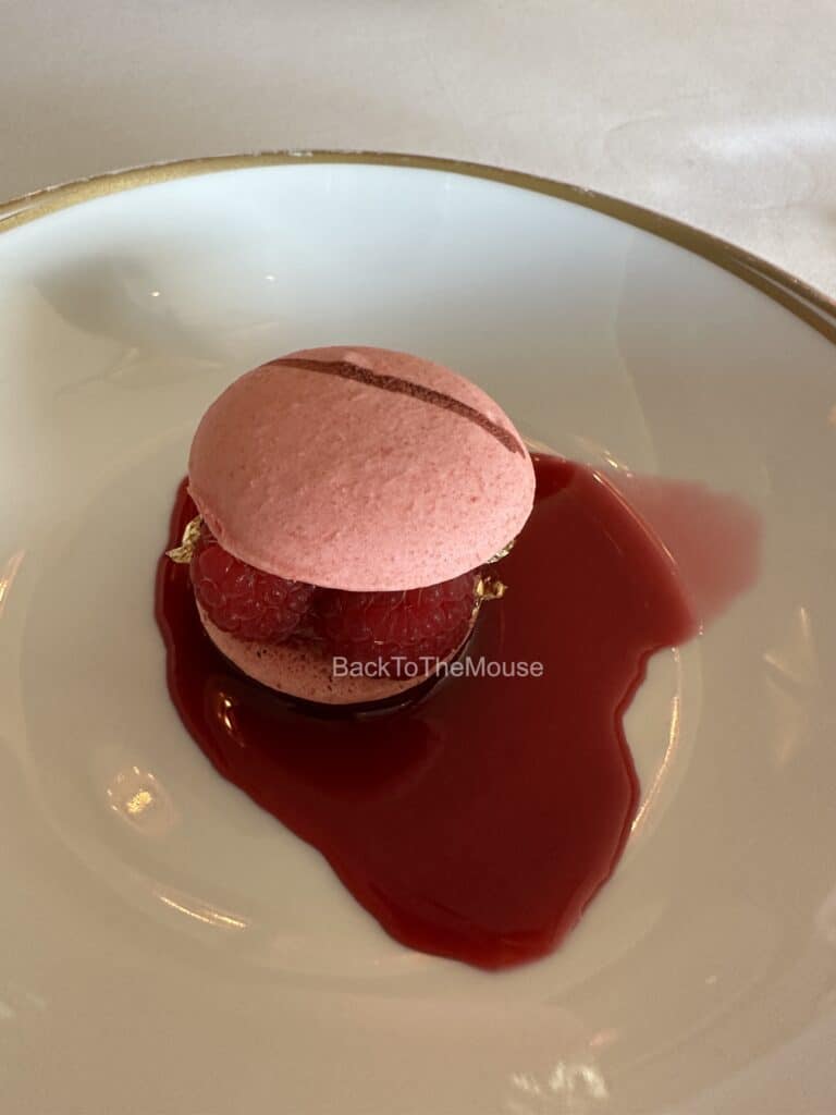 Macaron Framboise