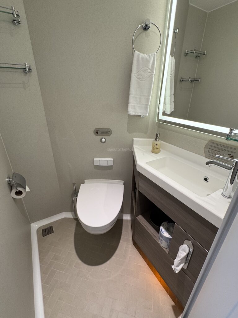 View of a modern bathroom in a deluxe oceanview stateroom, featuring a toilet, sink, and a large mirror.