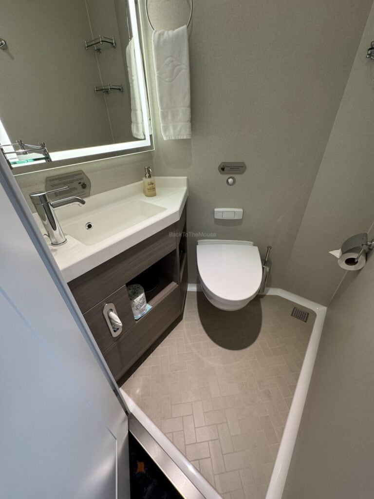 Interior view of a compact bathroom in a cruise stateroom featuring a sink, mirror, toilet, and storage area.