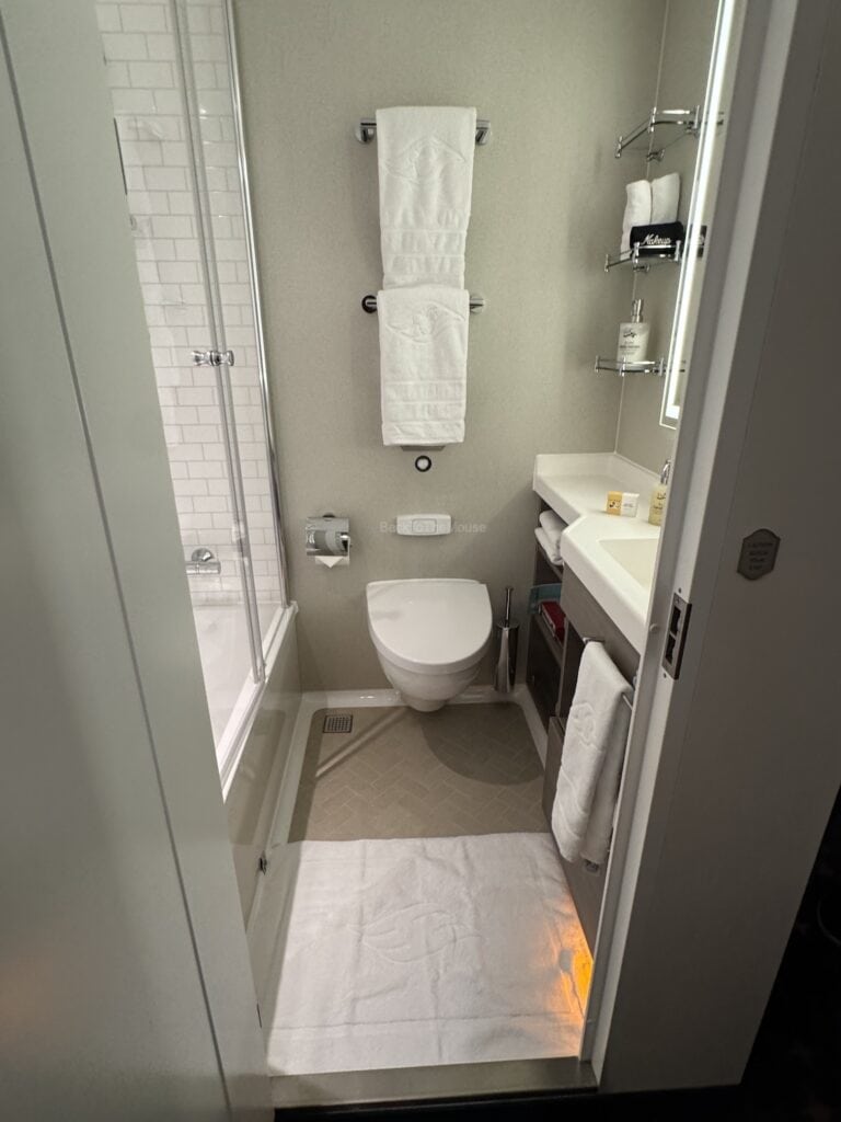 A clean and modern bathroom featuring a shower, a toilet, and a sink with toiletries, towels neatly arranged on hooks, and a bath mat on the floor.
